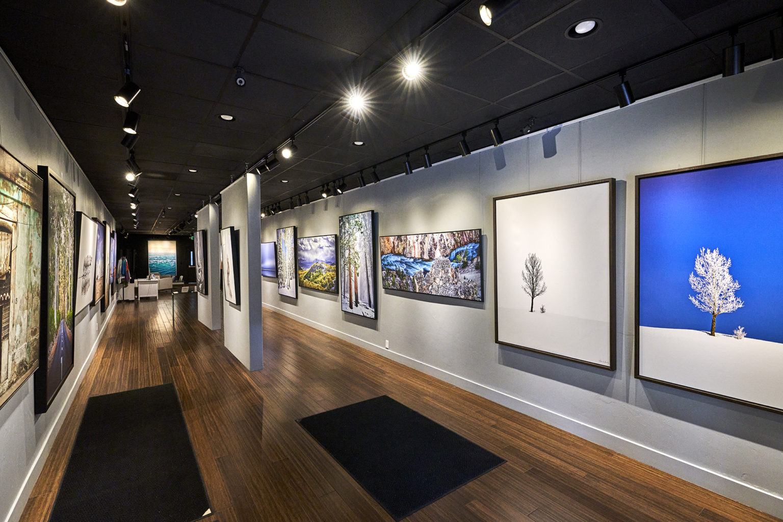 The 10 Best Art Galleries In Park City Utah Gscinparis